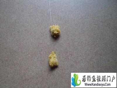 水母状态饵开拉饵视频 如何在开饵过程中有效调整拉饵的状态