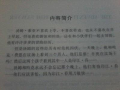 汤姆索亚历险记50字 汤姆索亚历险记主要内容50字（4篇）