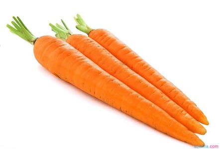 胡萝卜用英语怎么读音 胡萝卜用英语怎么说