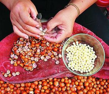 带壳鲜芡实怎么食用 芡实怎么去壳