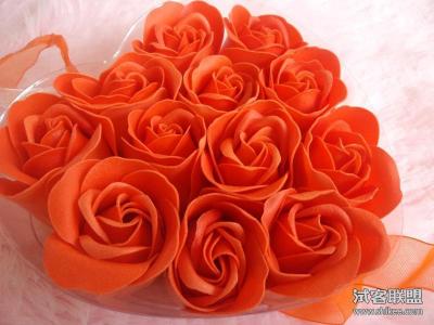 各种玫瑰的花语 橙玫瑰的花语