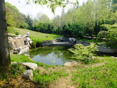 青岛景点介绍 青岛百花苑的景点介绍，去百花苑坐什么车