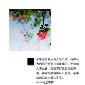 村上春树经典语录 村上春树经典语录（精选）