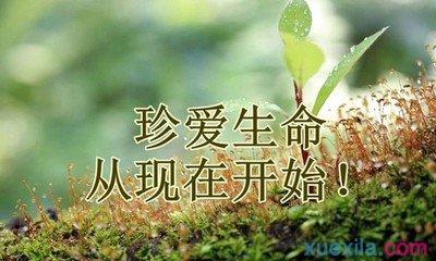 珍惜生命中的每一天 小学生演讲珍惜生命每一天