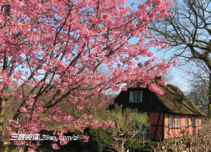 踏青赏花的诗句 北京公园景区踏青赏花全攻略