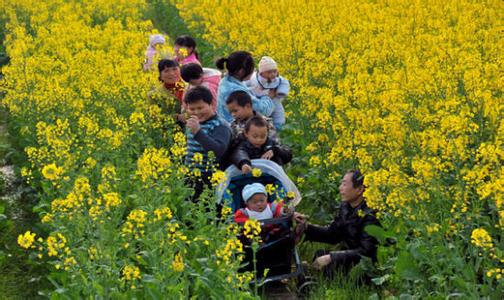 武汉踏春的好地方 四月份赏花踏春的好地方