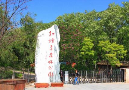 红坛寺森林公园 红坛寺森林公园的景点介绍