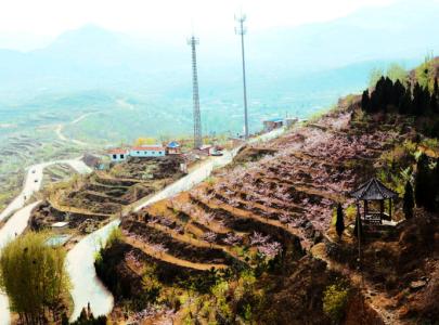 济南跑马岭野生动物园 济南跑马岭野生动物园的景点介绍