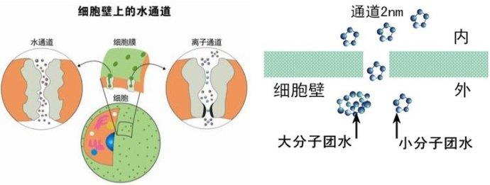 运动有益身体健康 揉摩耳廓有益身体健康