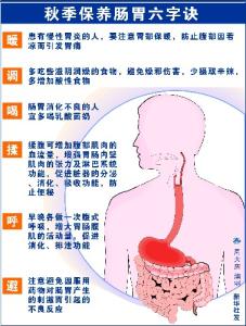 调理肠胃的保健品 肠胃保健的六字诀