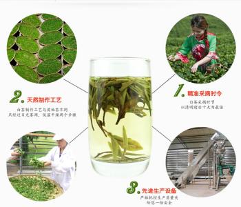 福鼎白茶冲泡方法 福鼎白茶的5种冲泡方法