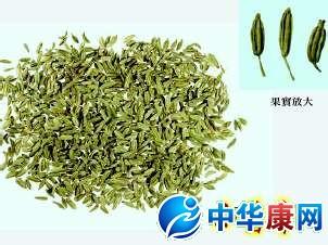 小茴香怎么吃 小茴香的功效与作用