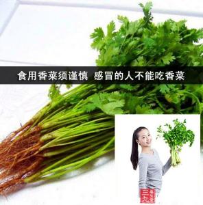 感冒能吃西葫芦吗 感冒为什么不能吃香菜