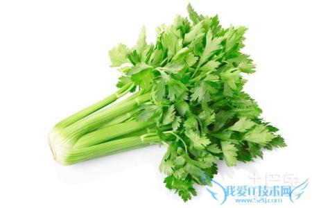 芹菜有什么坏处 芹菜有什么功效