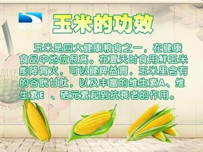 玉米功效与作用及禁忌 玉米的功效