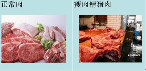 如何鉴别瘦肉精猪肉 如何辨别“瘦肉精”猪肉