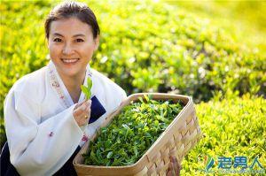 常喝绿茶的好处 女人常喝绿茶有哪些好处