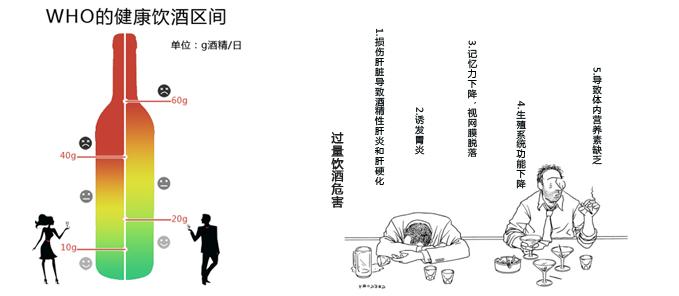 葡萄酒与健康 葡萄酒与我们的健康