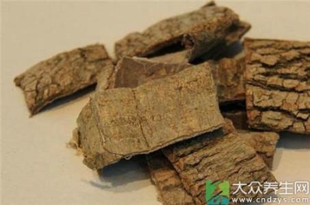 杜仲雄花的作用与功效 杜仲的药用价值