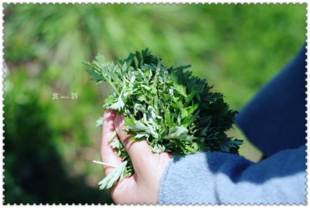 清明节：艾草煎饼的做法