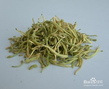 金银花茶副作用 金银花茶的功效与副作用有哪些