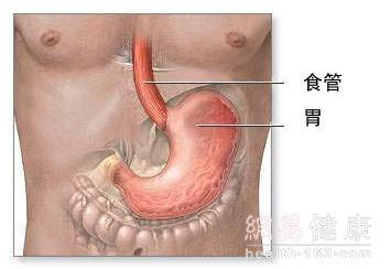 几块钱根治所有胃病 几块钱彻底根除“胃病”