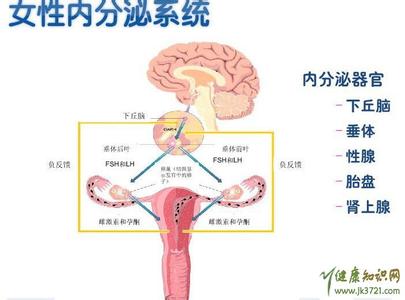 月经推迟饮食调理 月经推迟的三大类与对应的饮食治疗