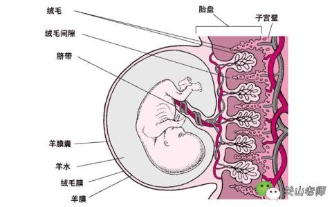 宫外孕做流产危险吗 孕早期出血要考虑流产和宫外孕的危险