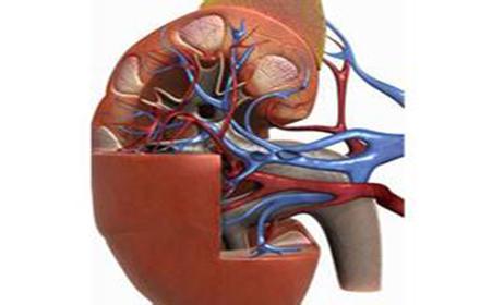 肾功能衰竭怎么治疗 肾功能衰竭治疗几方面