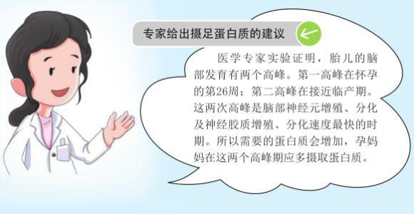 孕晚期饮食注意事项 孕晚期饮食有哪些注意事项