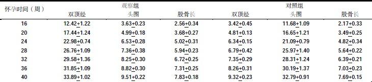 胎儿发育营养 黄花菜营养对胎儿发育益处多