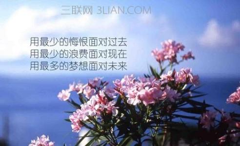 励志文章：梦想理想和幻想