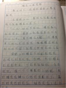 毛主席的五篇哲学著作 四年级作文：描写眼睛300字 五篇