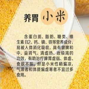 凡高的情感品质 你懂情感的品质吗