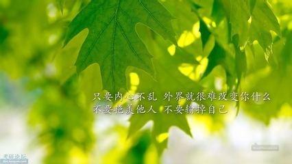 静默如初是什么意思 平淡里看精彩，静默里品生动