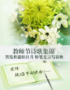 教师节赞美诗歌：谢谢您，老师