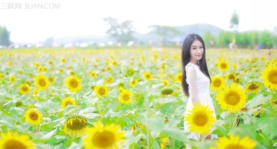 烟消云散 经年往事都烟消云散,唯有微笑触动着不再震颤的心