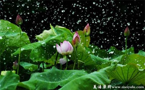 让心灵沐浴书香手抄报 沐一场心灵的疏雨