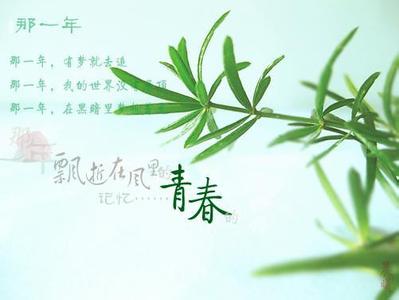 我们的青葱岁月 青葱岁月的遗憾