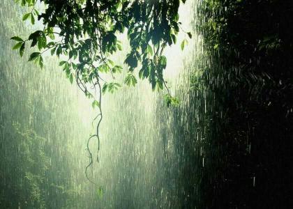 落在时光里的一场雨 借一场雨，淋落一地忧伤