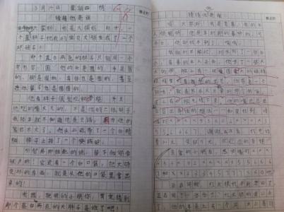 三年级春游作文300字 三年级春游作文