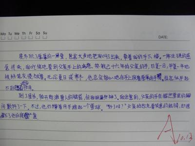 细节描写100字好片段 细节描写的片段100字