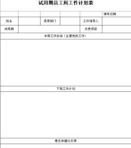 试用期工作总结与计划 试用期工作总结及工作计划