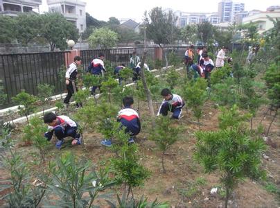 大学植树节活动总结 植树节活动总结