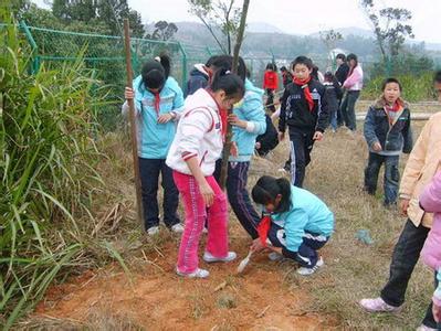 小学植树节活动总结 2014小学植树节活动总结