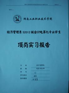 大专会计顶岗实习总结3000字