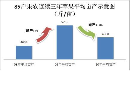 年度工作总结怎么写 统计年度工作总结怎么写