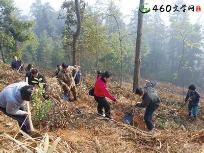 乡镇植树节活动总结 乡镇2015年植树节活动总结