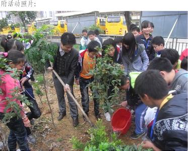 植树节活动总结 2015植树节活动总结