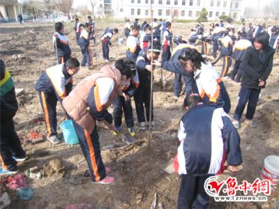 学校植树节活动总结 2015年中心学校植树节活动总结